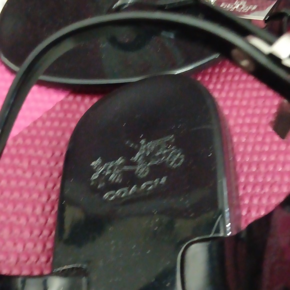 Coach - Picture 5 of 6